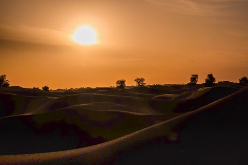 tinged dunes at sunset in the UAE