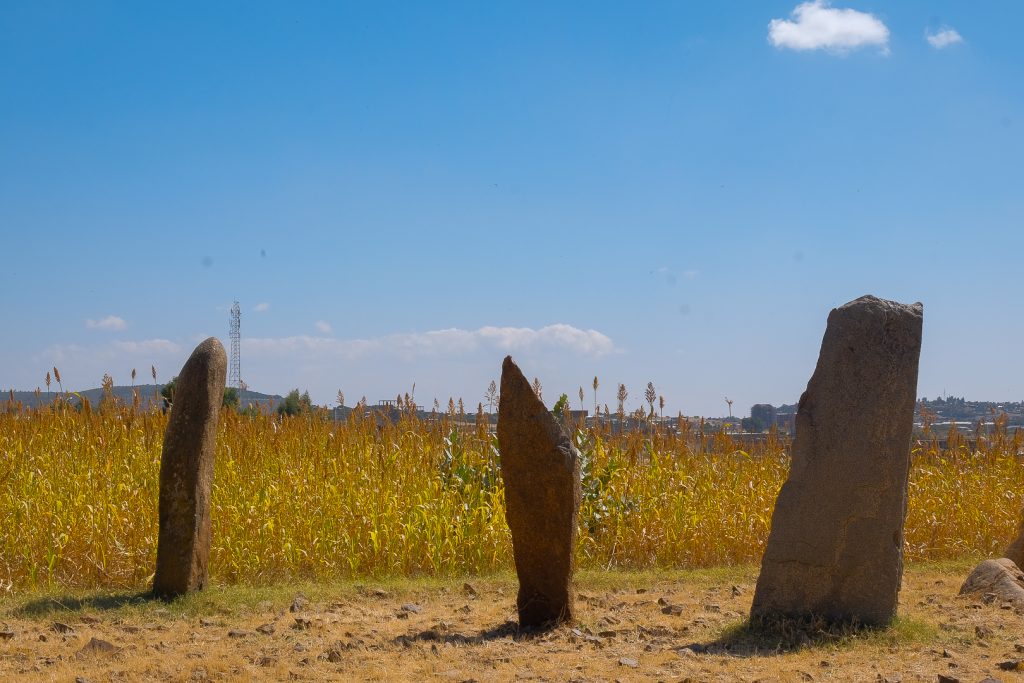 some of the stelae near the Queen of Sheeba Palace, Axum