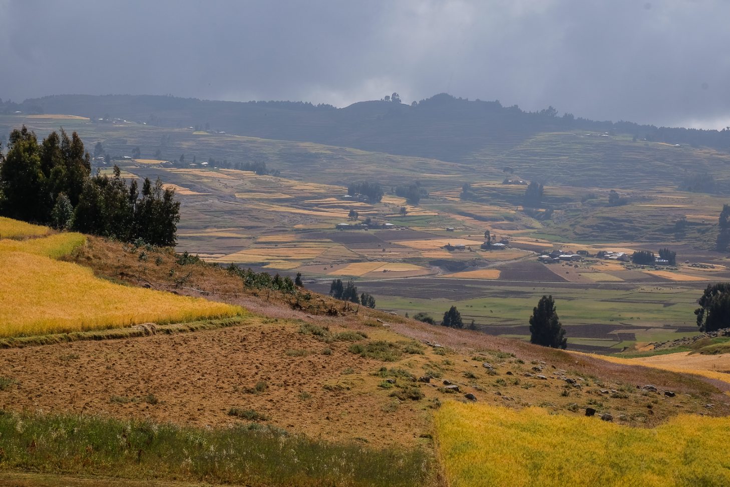 the road leading to Dessie, Ethiopia