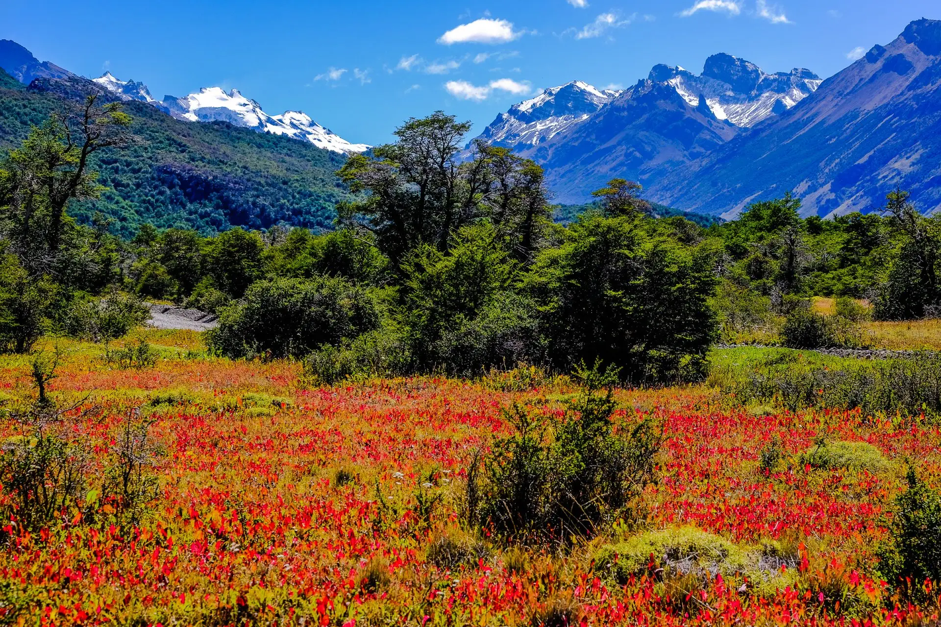 foto paesaggio roberta lattuada